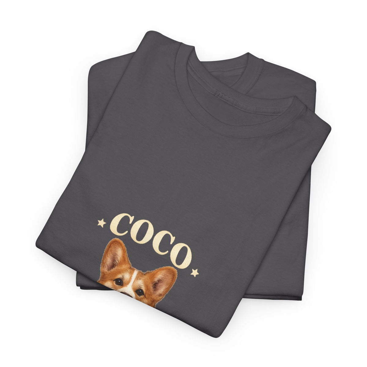 Custom Vintage Pet Portrait T-Shirt – Your Photo & Name | Vintage Companion
